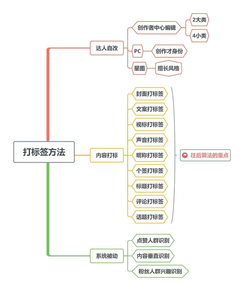 短视频代运营——品牌传播的新引擎